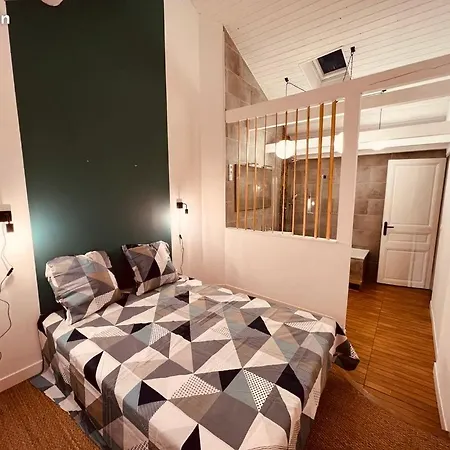 شقة Le Loft Sainte Marie نانسي